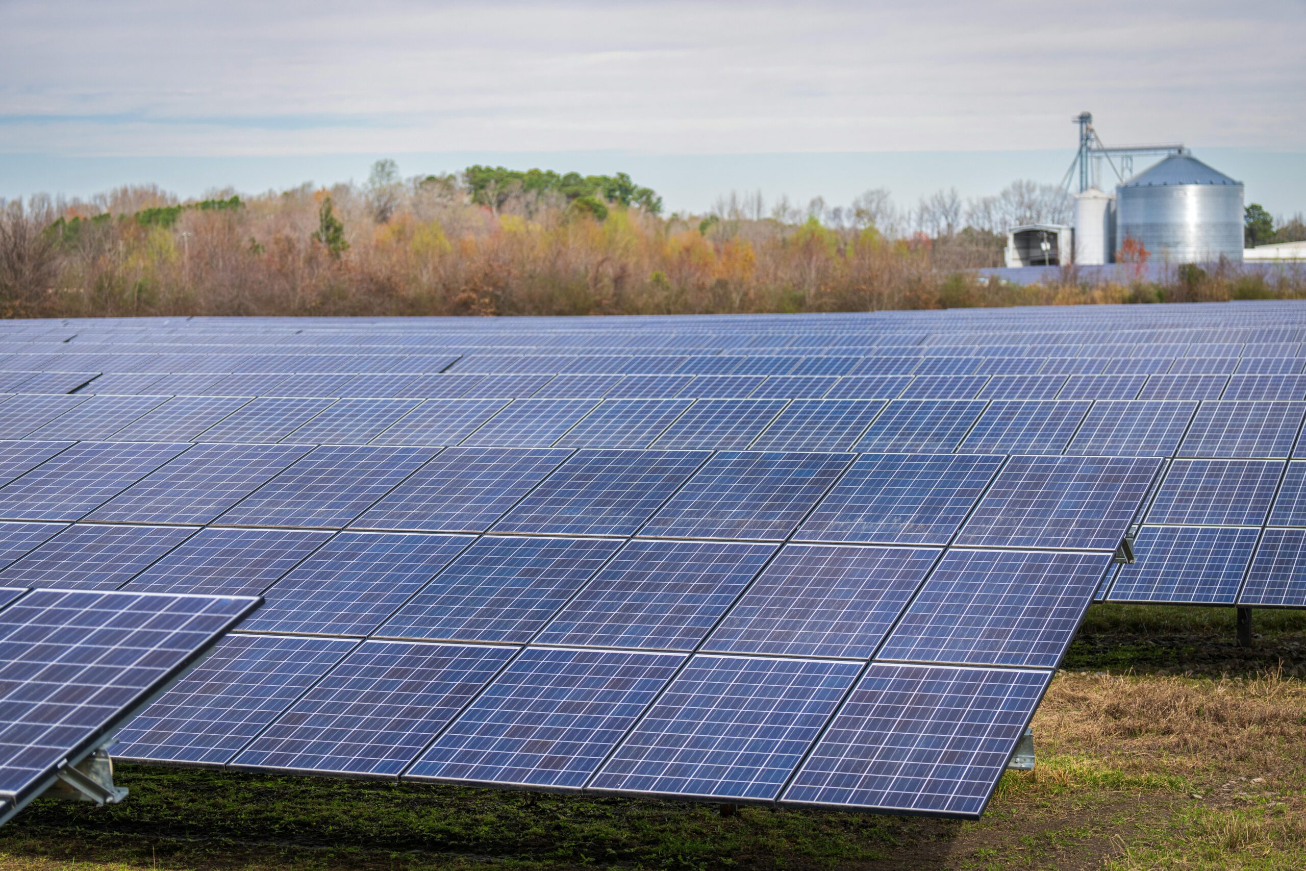 pexels-nc-farm-bureau-mark-15751130